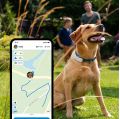 GPS obojok pre psov Tractive